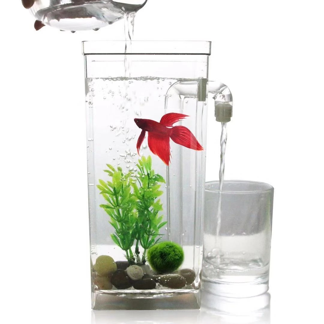Aquarium Goldfish - Lazy Free Water Change Desktop Fish