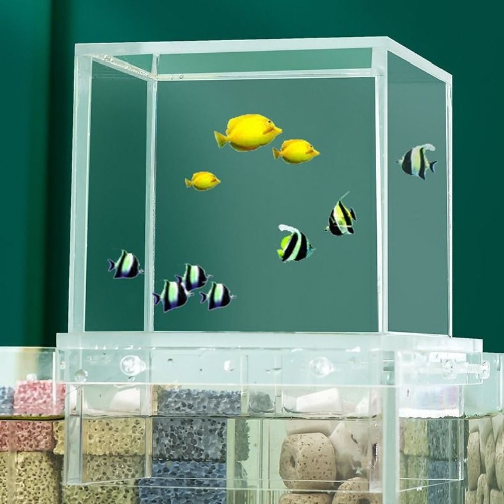 Landscaping Negative Pressure  - Aquarium Goldfish review and price