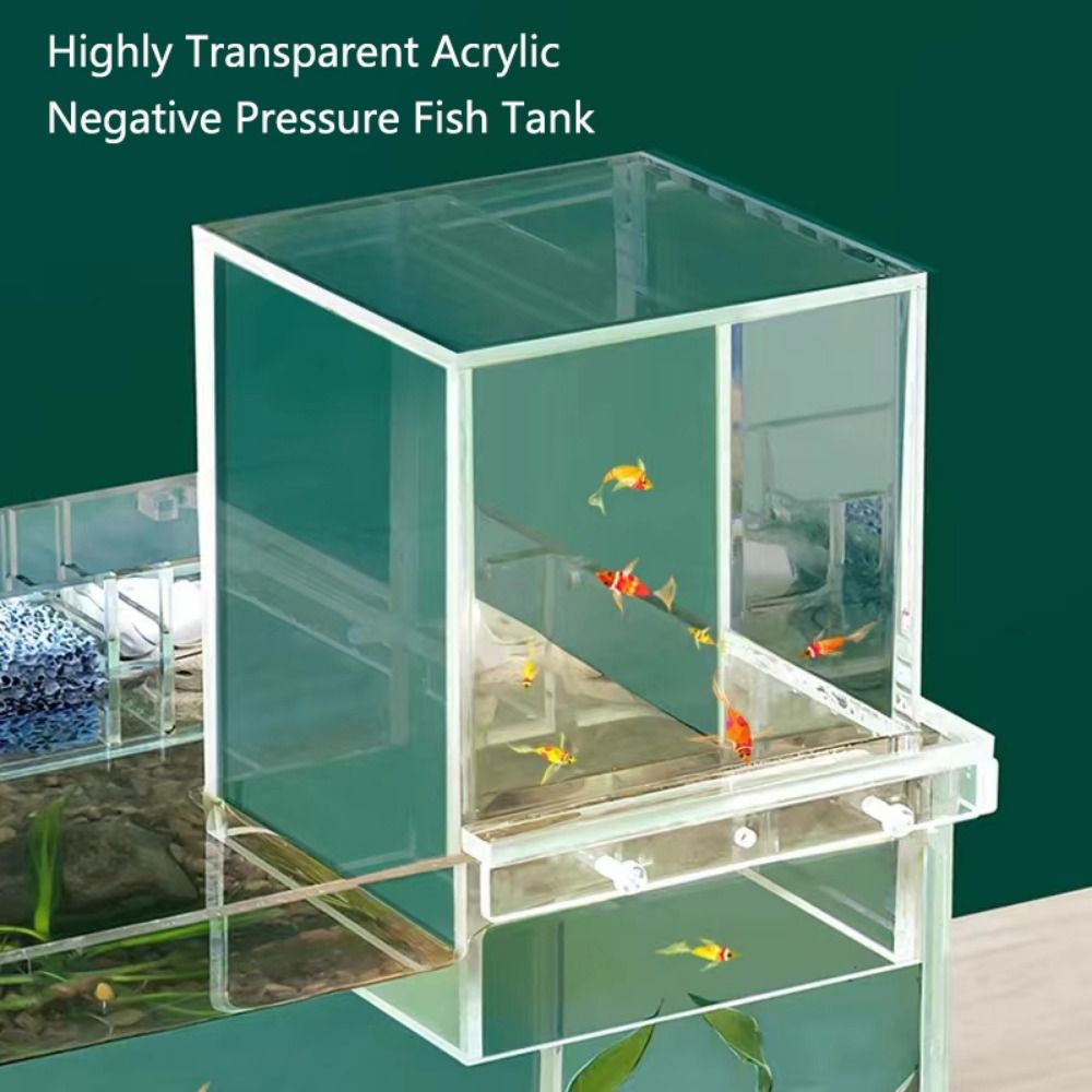 Landscaping Negative Pressure  - Aquarium Goldfish review and price