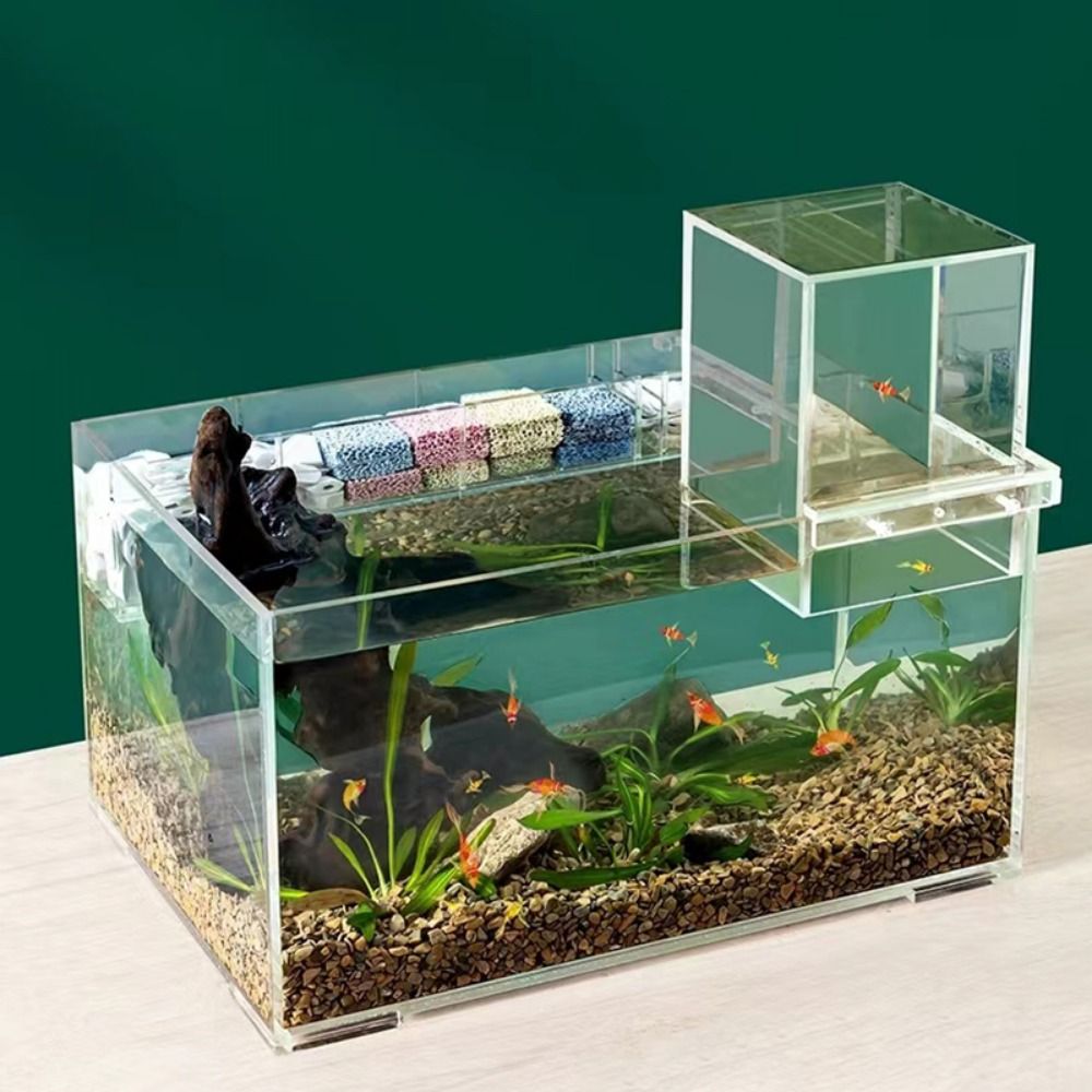 Landscaping Negative Pressure  - Aquarium Goldfish review and price