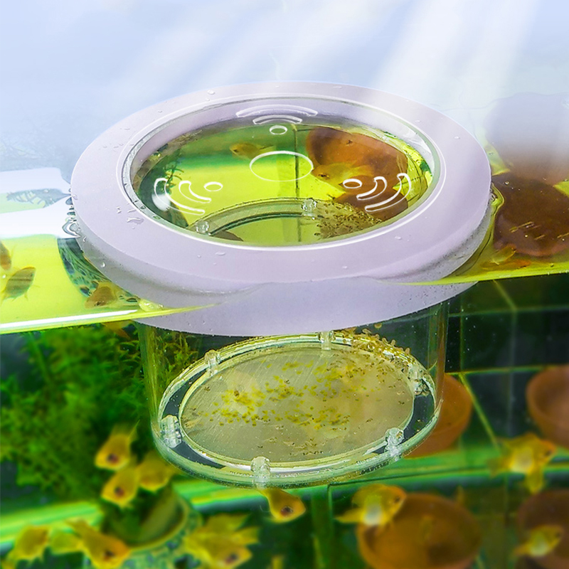 Suspended Fish Tank Breeding I - Aquarium Fish And Supplies review and price