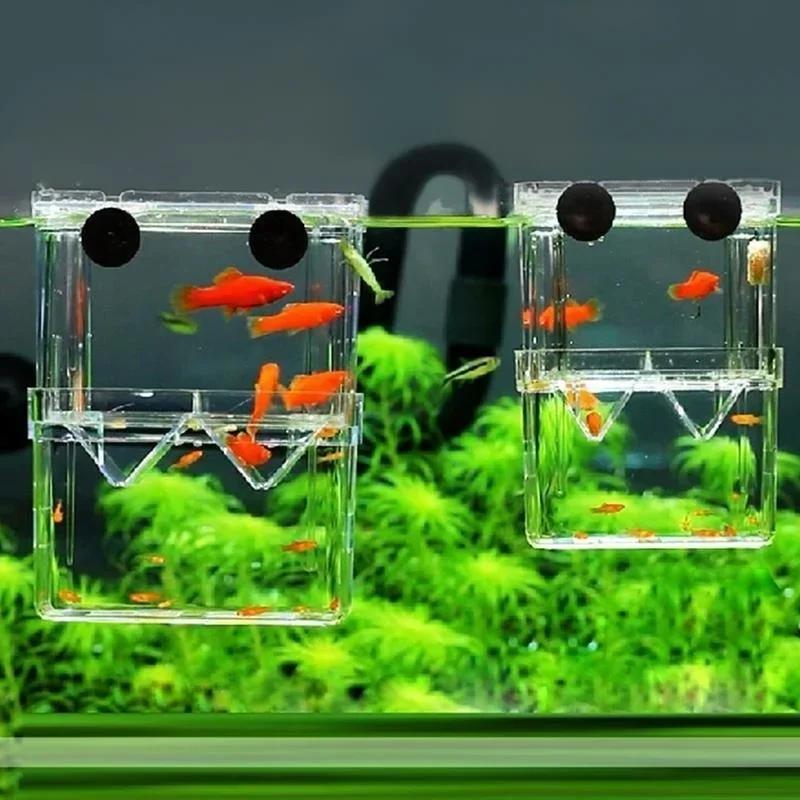 Transparent Fish Aquarium High - Aquarium Goldfish review and price