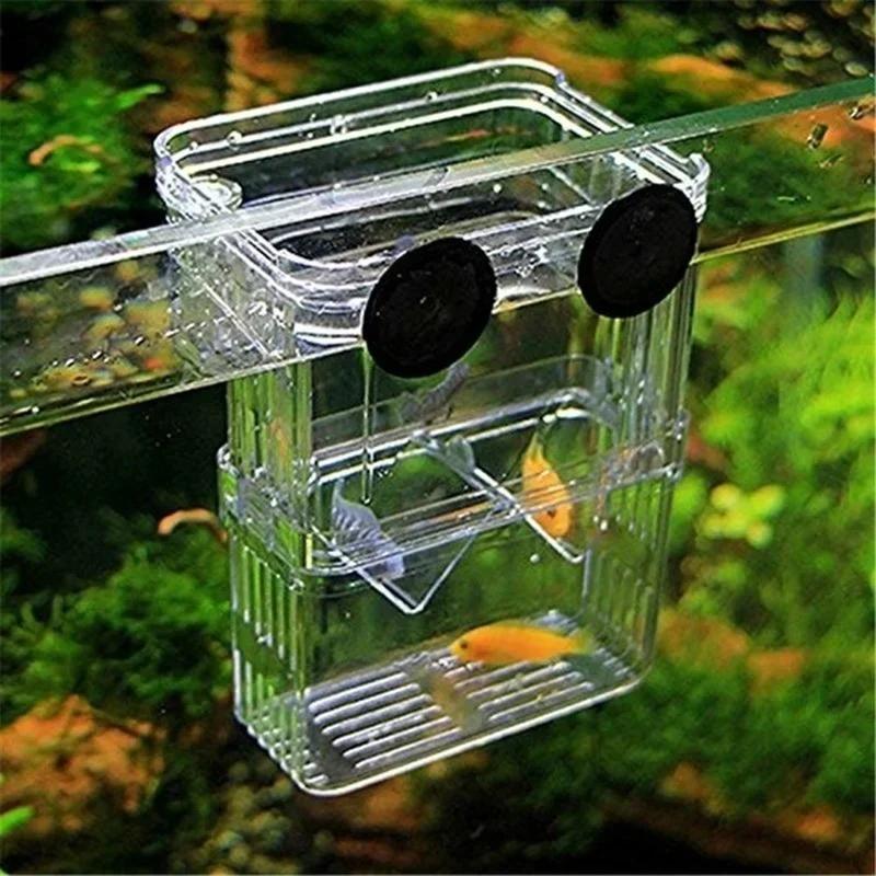 Transparent Fish Aquarium High - Aquarium Goldfish review and price