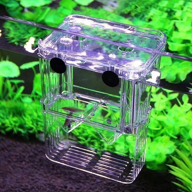 Transparent Fish Aquarium High - Aquarium Goldfish review and price