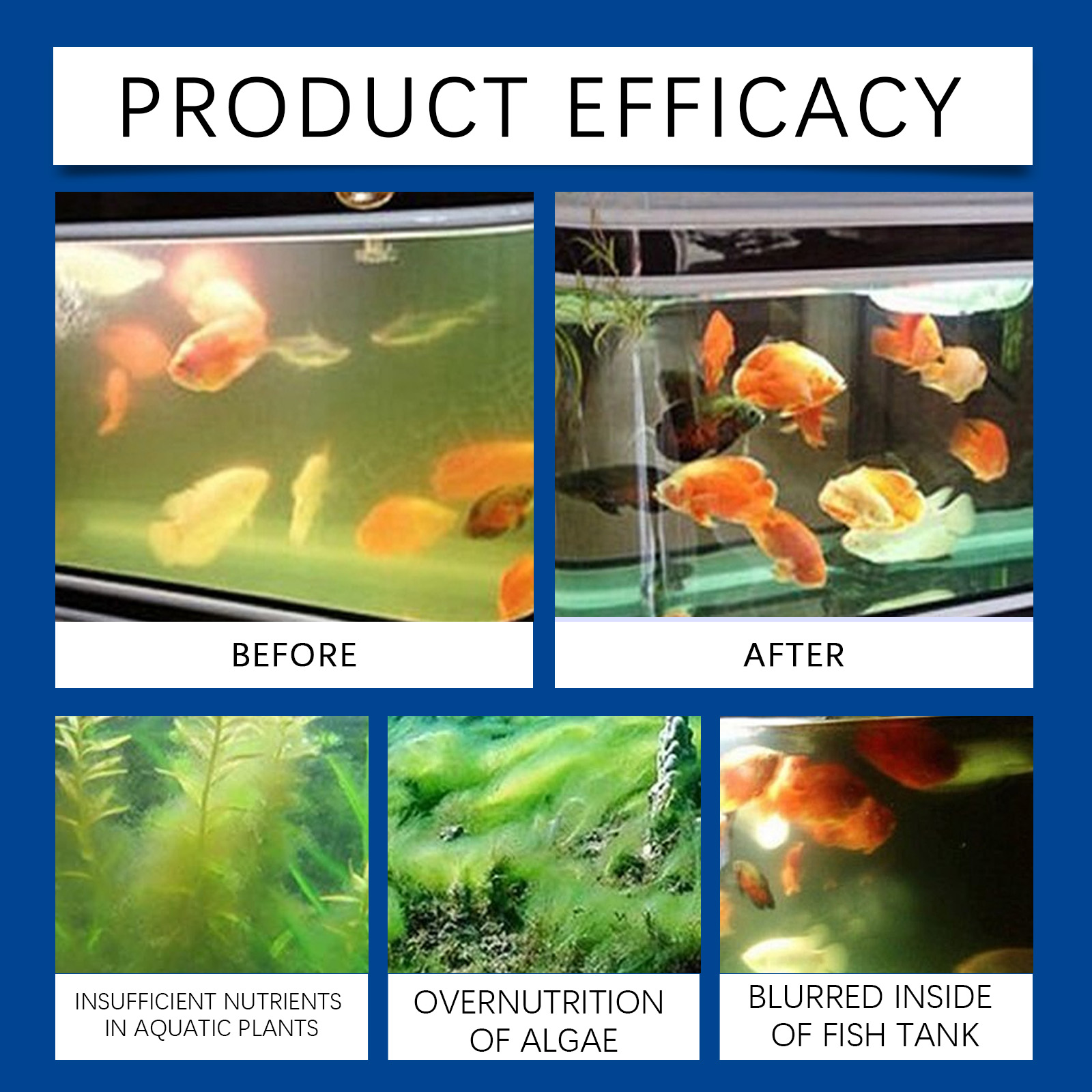 Aquarium Water Clarifier 100ml - Aquarium Fish Quality review and price
