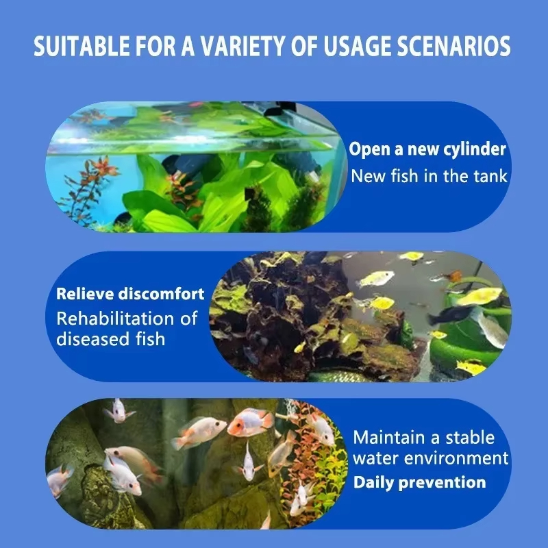 SIKEZHAN Fish Disease Treatmen - Aquarium Fish Quality review and price
