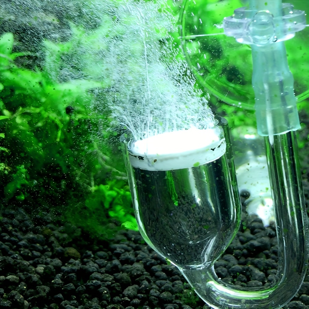 Aquarium Glass CO2 Atomizer Di - Aquarium Fish And Supplies review and price
