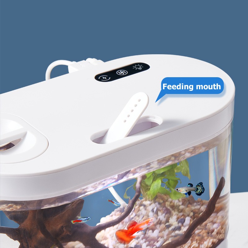 Mini Desktop Aquarium Fish Tan - Aquarium Goldfish review and price