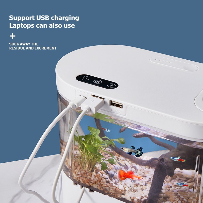 Mini Desktop Aquarium Fish Tan - Aquarium Goldfish review and price