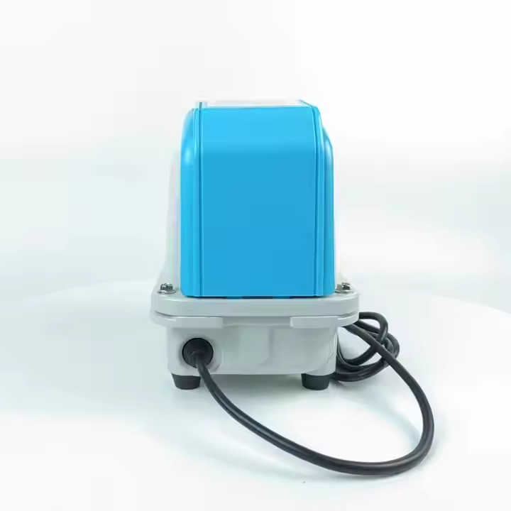 High Quality Aquarium External - Aquarium Fish High Price review and price