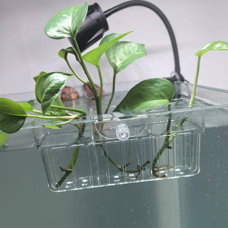 Hydroponic Plant Basket Food G - Aquarium Fish Tank review and price