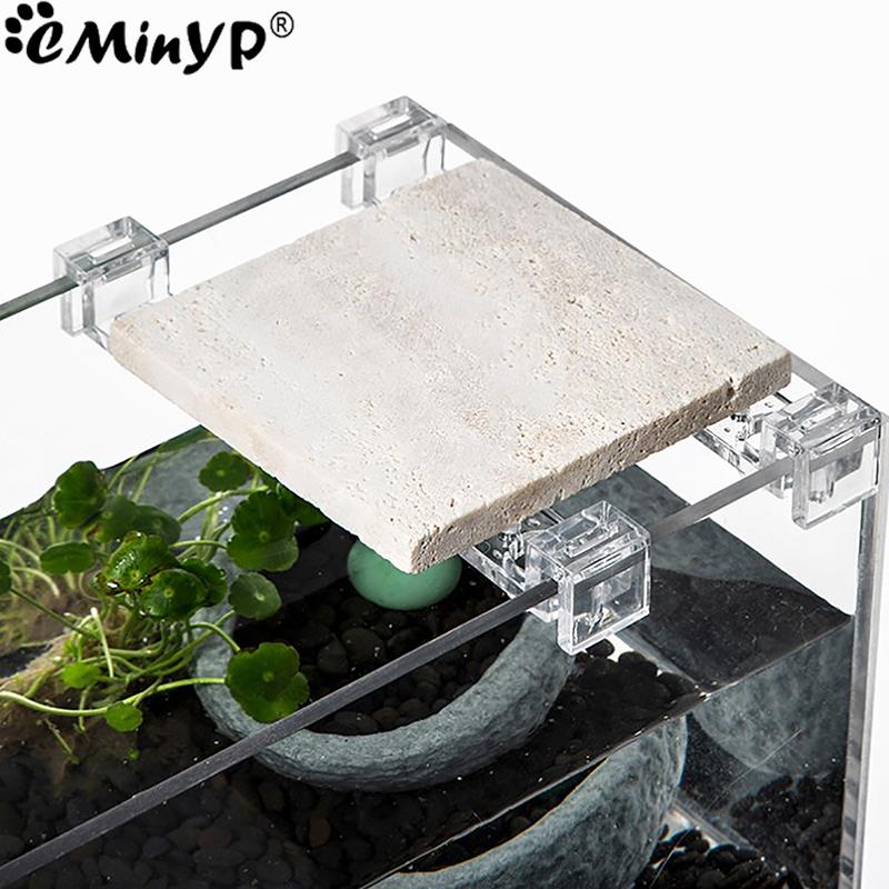 4Pcs Fish Tank Acrylic Clips f - Aquarium Fish And Supplies review and price
