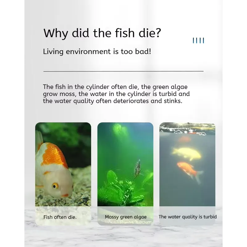 5W High Quality Eco-Friendly P - Aquarium Fish Quality review and price