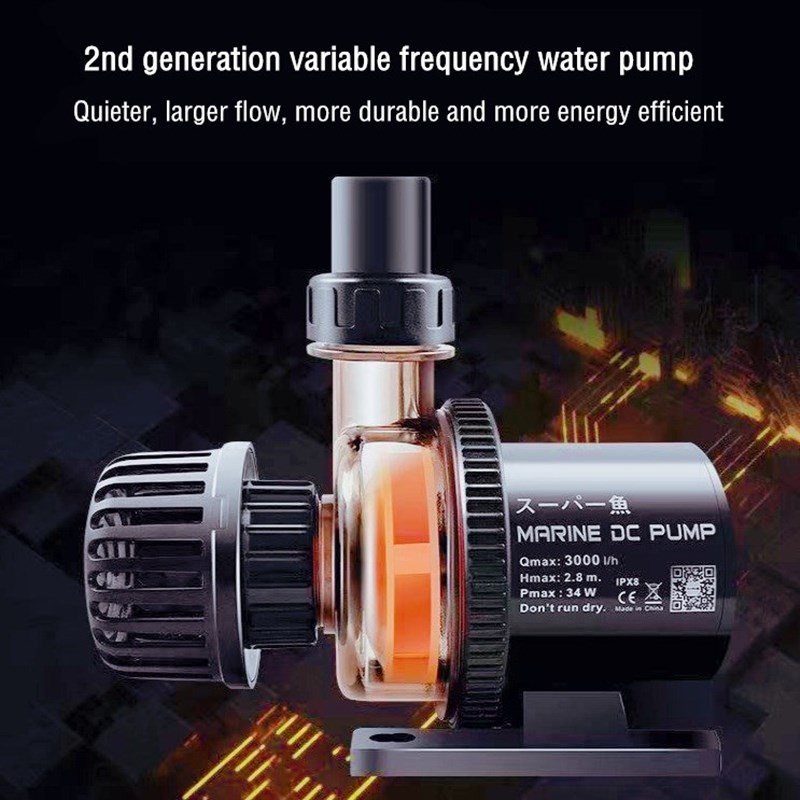 Custom Factory Wholesale Price - Aquarium Fish High Price review and price