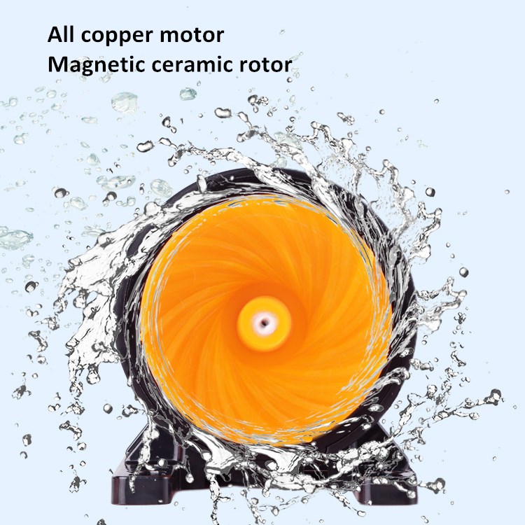 Custom Factory Wholesale Price - Aquarium Fish High Price review and price