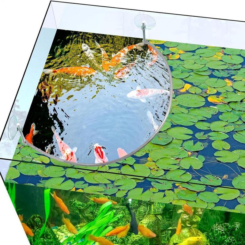 Floating Plant Corral Fish Fee - Aquarium Fish Quality review and price