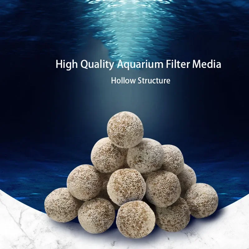 10pcs 20pcs High Quality  Aqua - Aquarium Fish Quality review and price