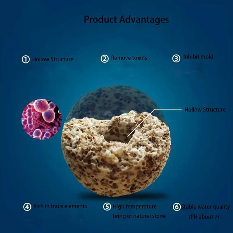 10pcs 20pcs High Quality  Aqua - Aquarium Fish Quality review and price