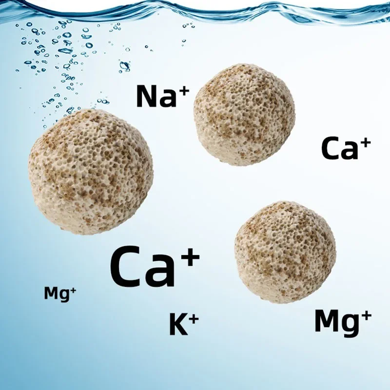 10pcs 20pcs High Quality  Aqua - Aquarium Fish Quality review and price