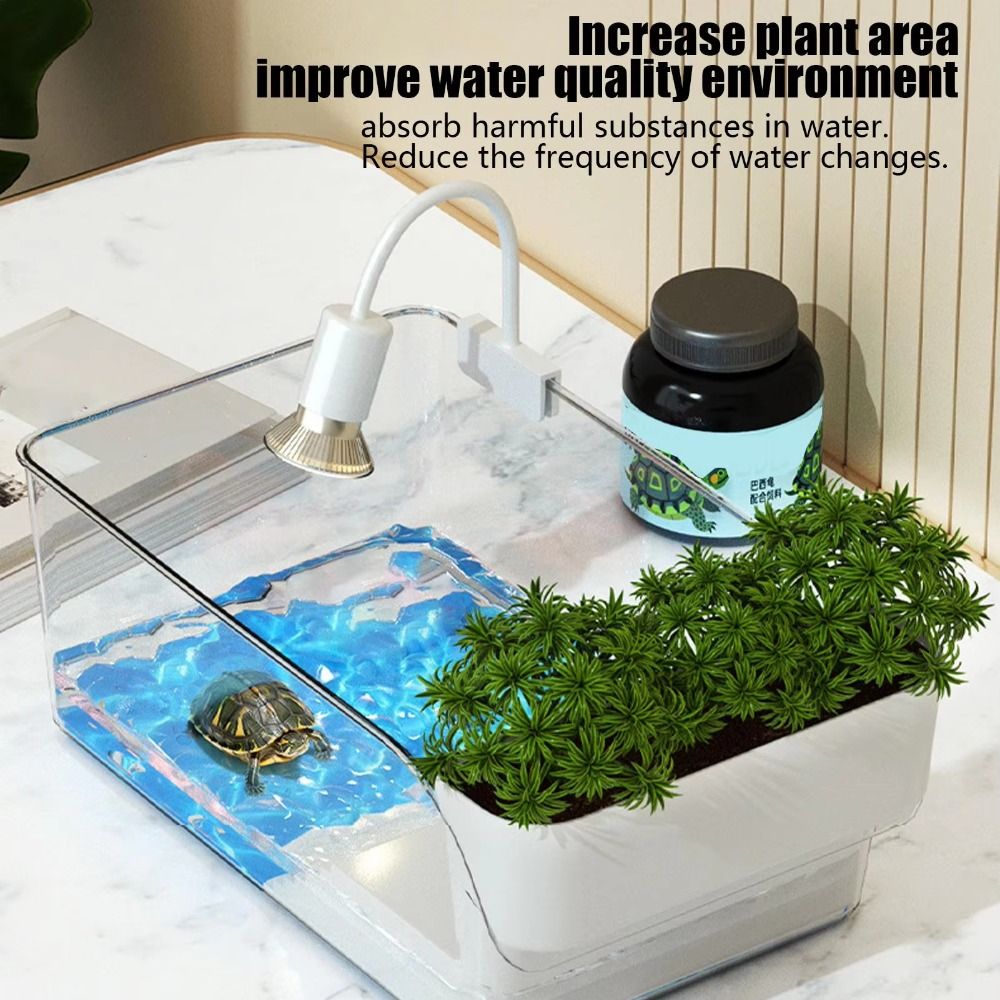 Transparent Turtle Tank with B - Aquarium Goldfish review and price