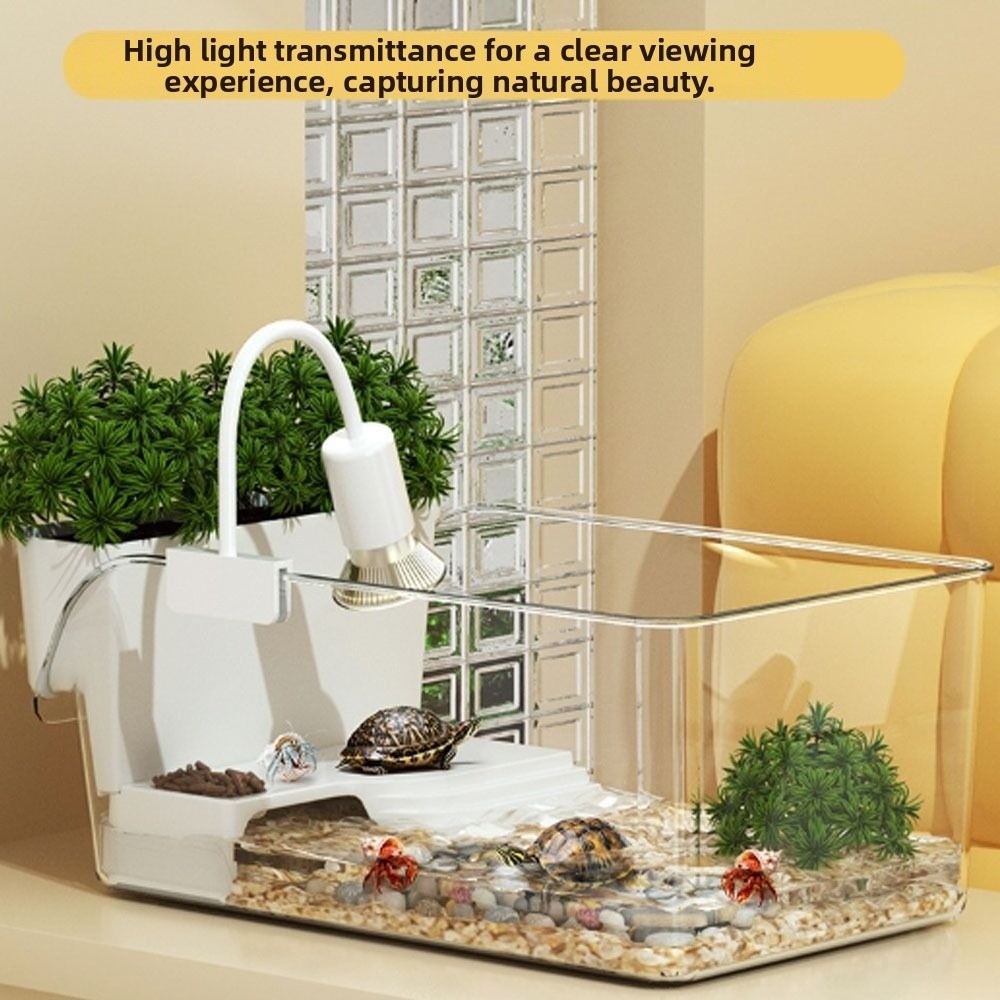 Transparent Turtle Tank with B - Aquarium Goldfish review and price