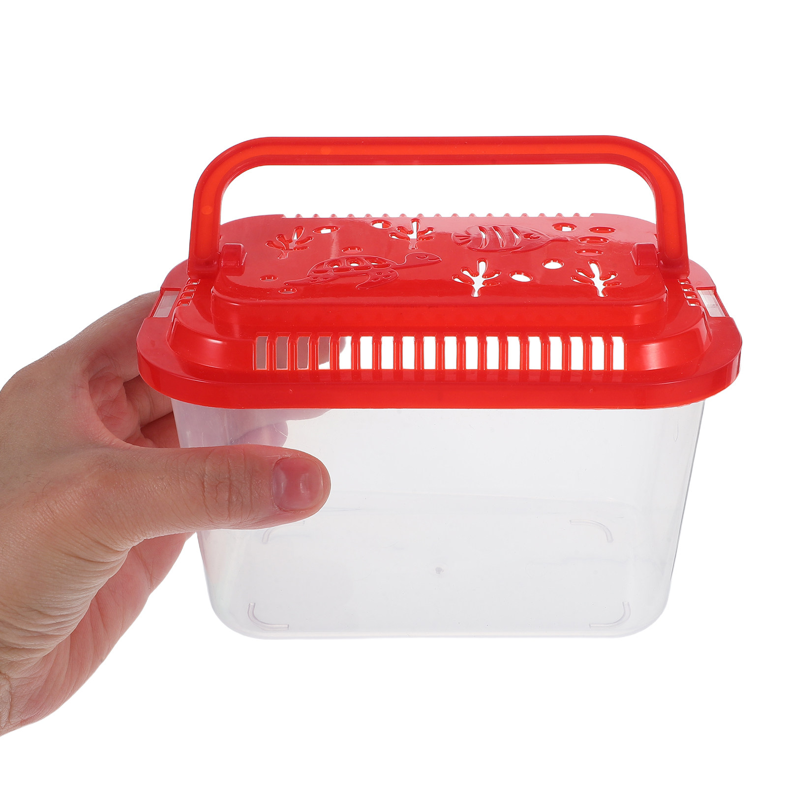 5Pcs Fish Transport Container  - Aquarium Mini Fish review and price