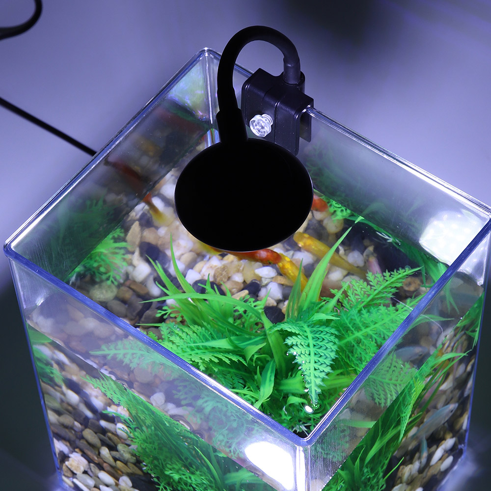 USB Desktop Fish Tank Set-Easy - Aquarium Goldfish review and price